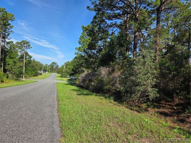 6951 N Tallwood Drive, Citrus Springs, FL 34434