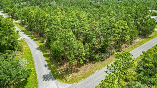 6951 N Tallwood Drive, Citrus Springs, FL 34434