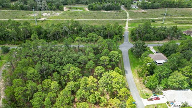 6951 N Tallwood Drive, Citrus Springs, FL 34434