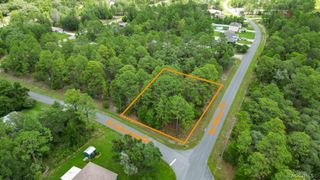6951 N Tallwood Drive, Citrus Springs, FL 34434