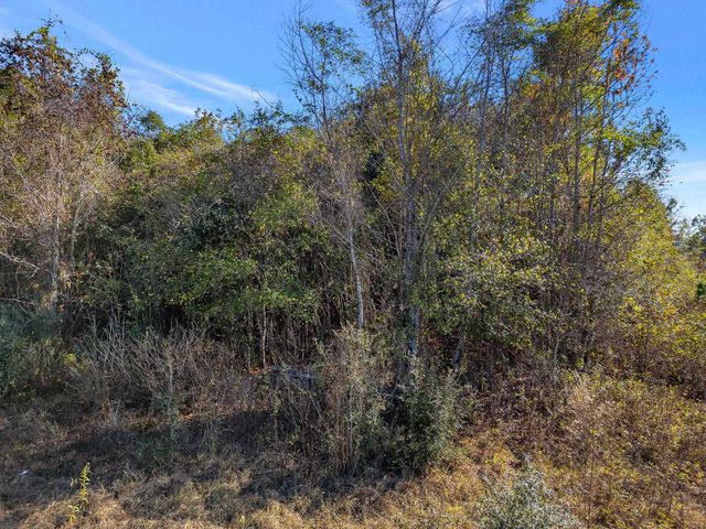 0 HICKORY WOODS Trail, Tallahassee, FL 32312
