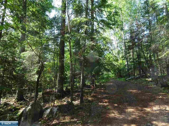 9245 Burris Drive, Cook, MN 55723