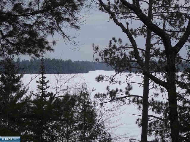 9245 Burris Drive, Cook, MN 55723