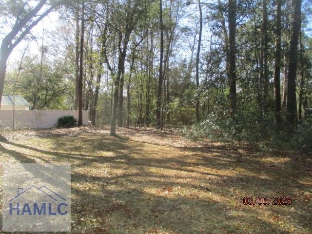 828 Jacks Hill Road, Hinesville, GA 31313