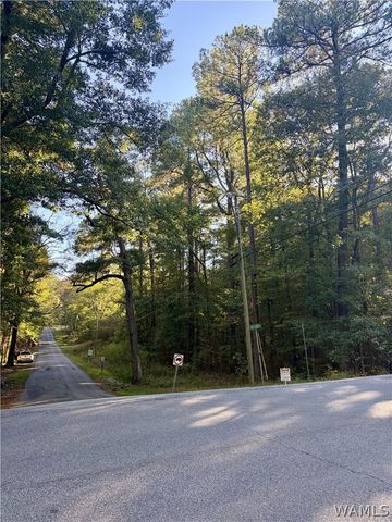 Lot 31 Rock Creek, Lake View, AL 35111