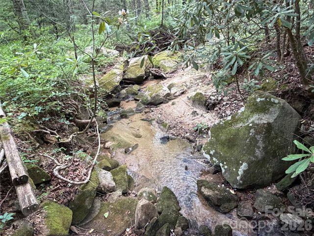 141 Hemlock Lane 3, Lake Lure, NC 28746