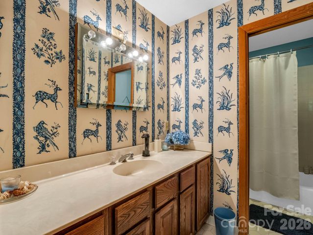 141 Hemlock Lane 3, Lake Lure, NC 28746