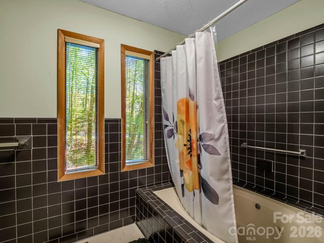 141 Hemlock Lane 3, Lake Lure, NC 28746