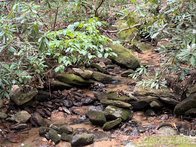 141 Hemlock Lane 3, Lake Lure, NC 28746