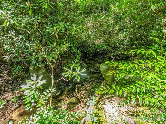 141 Hemlock Lane 3, Lake Lure, NC 28746