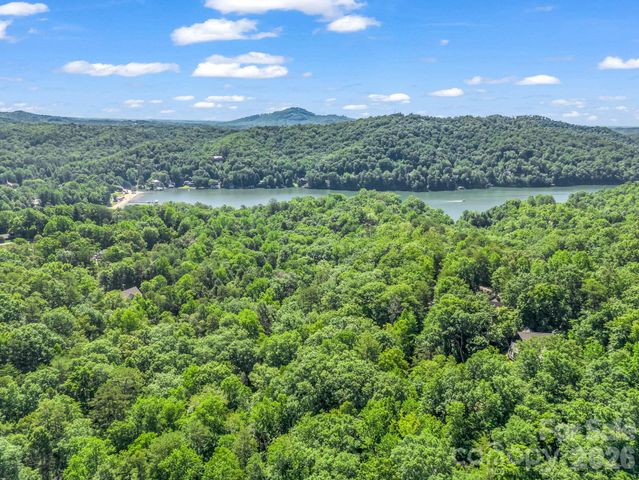 141 Hemlock Lane 3, Lake Lure, NC 28746