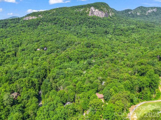 141 Hemlock Lane 3, Lake Lure, NC 28746