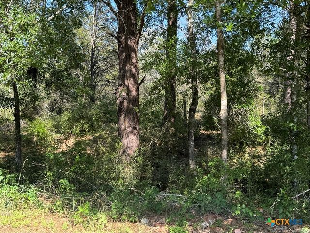 2183 Fm 3283, Hallettsville, TX 77964