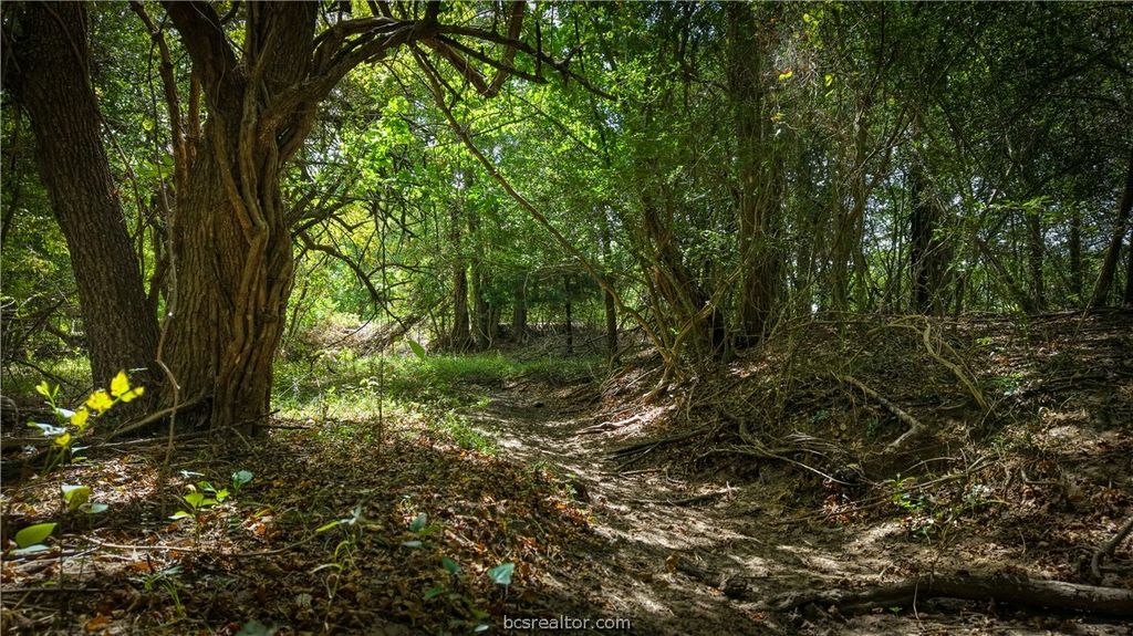 Tract 4 Mensik Rd., Bryan, TX 77808 — photo 2