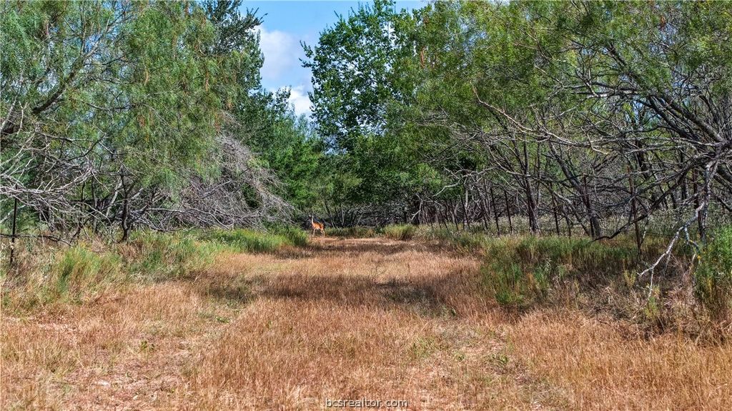Tract 4 Mensik Rd., Bryan, TX 77808 — photo 3