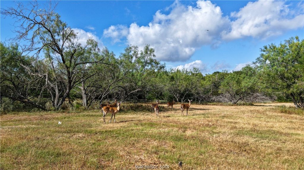 Tract 4 Mensik Rd., Bryan, TX 77808 — photo 4