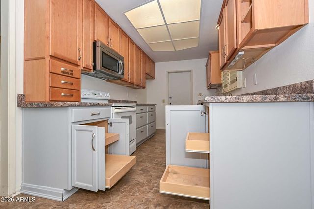10314 W SPANISH MOSS Lane, Sun City, AZ 85373