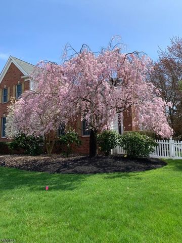 181 Berkley Ave, Montgomery Twp., NJ 08502