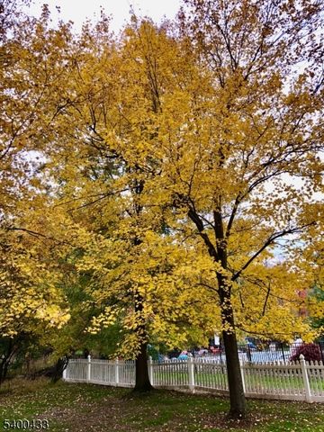 181 Berkley Ave, Montgomery Twp., NJ 08502