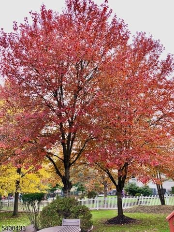 181 Berkley Ave, Montgomery Twp., NJ 08502