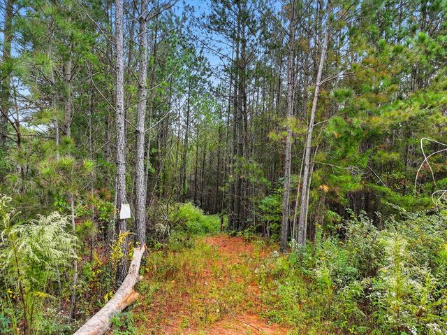0 Old Pleasant Valley, Talking Rock, GA 30175