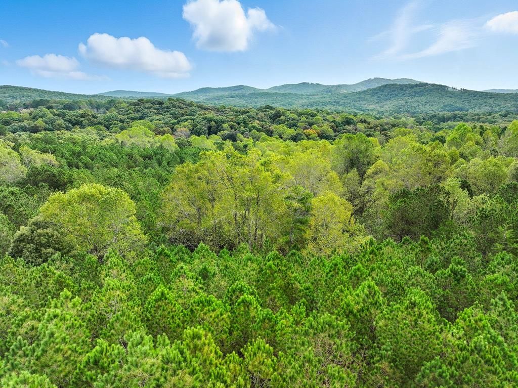 0 Old Pleasant Valley, Talking Rock, GA 30175