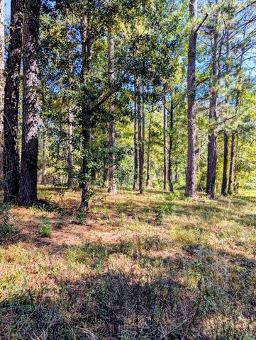 0 Norrell Dr., Petal, MS 39465