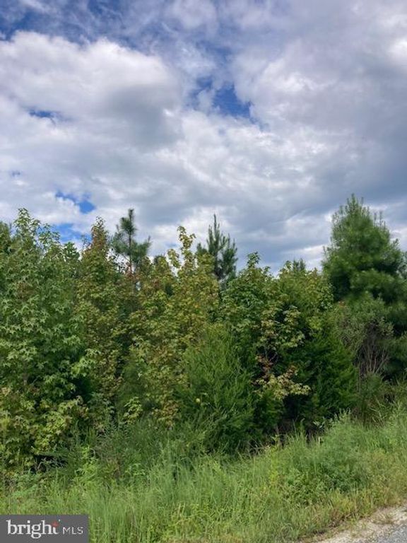 KELLY RD, Kinsale, VA 22488