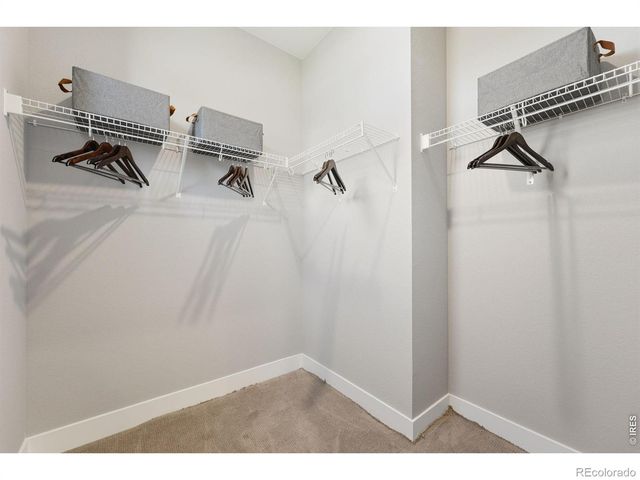 990 Nettle Lane, Fort Collins, CO 80524