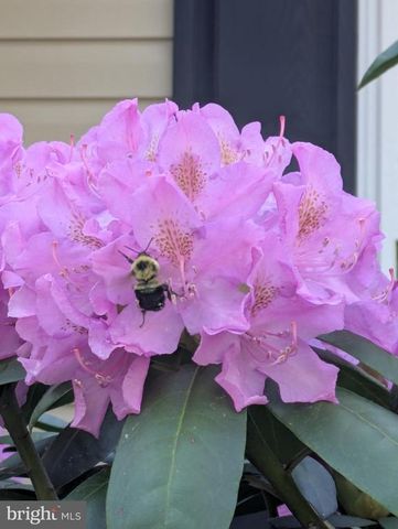 210 SAYLERS CREEK RD, Locust Grove, VA 22508