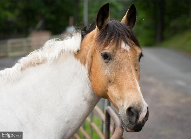 210 SAYLERS CREEK RD, Locust Grove, VA 22508