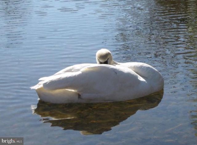 210 SAYLERS CREEK RD, Locust Grove, VA 22508