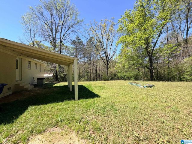 3801 COGSWELL AVENUE, Pell City, AL 35125