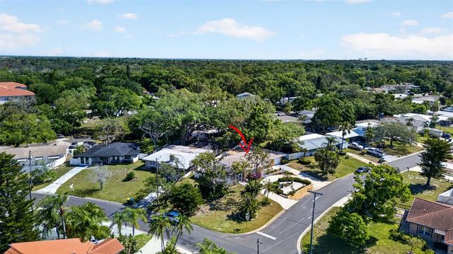 209 WESTWINDS DRIVE, Palm Harbor, FL 34683