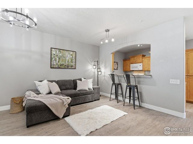 4101 Crittenton Ln 301, Wellington, CO 80549