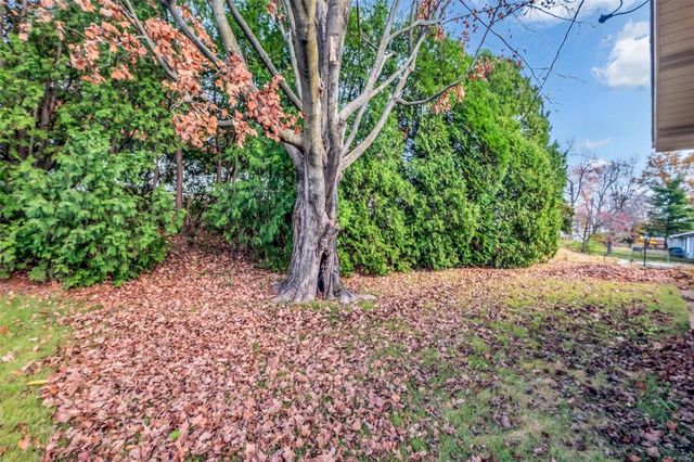 1849 Atmore Drive, St Louis, MO 63136