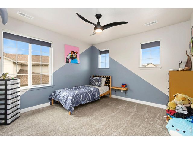 2936 Fractus St, Timnath, CO 80547