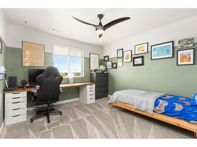 2936 Fractus St, Timnath, CO 80547