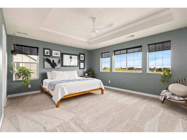 2936 Fractus St, Timnath, CO 80547