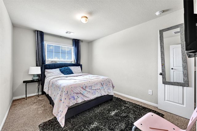 3730 Giorgio Pastel Place, Katy, TX 77493