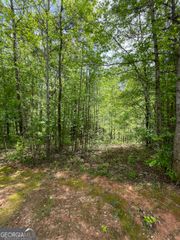 205 White Birch Drive, Covington, GA 30016