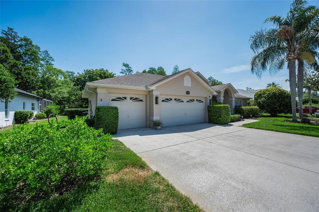 1234 ARLINBROOK DRIVE, Trinity, FL 34655