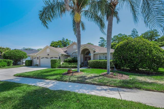 1234 ARLINBROOK DRIVE, Trinity, FL 34655