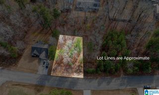 20391 CASTLE RIDGE ROAD, Mccalla, AL 35111