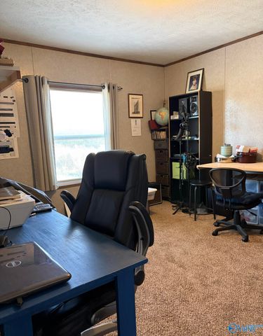 210 County Road 1762, Baileyton, AL 35019