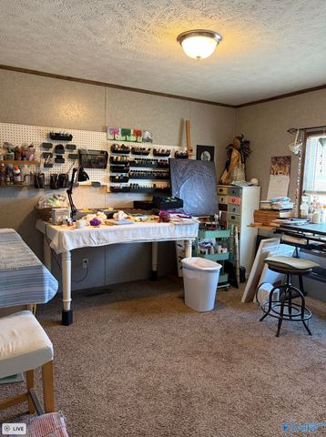 210 County Road 1762, Baileyton, AL 35019