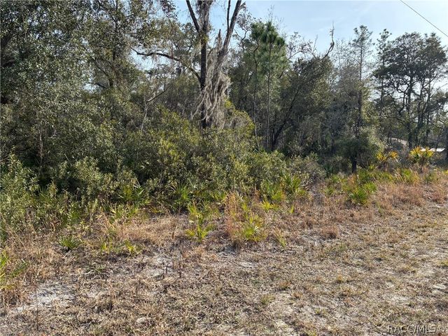 11264 W Riverwood Drive, Crystal River, FL 34428