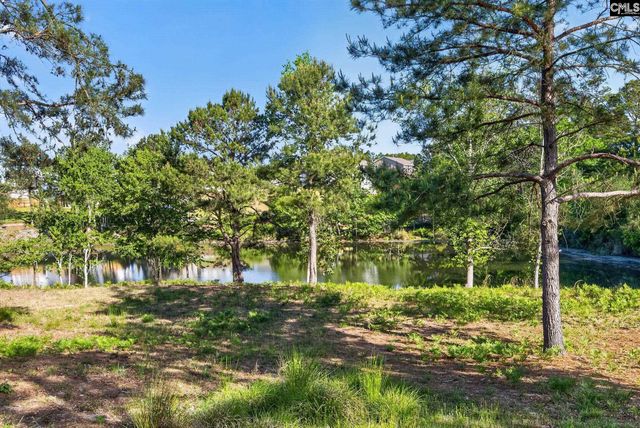 176 Southern Lake Court, Camden, SC 29020