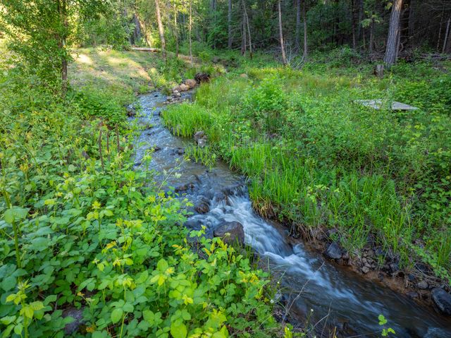 7704 Eastmoore Road, Shingletown, CA 96088