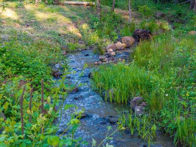 7704 Eastmoore Road, Shingletown, CA 96088